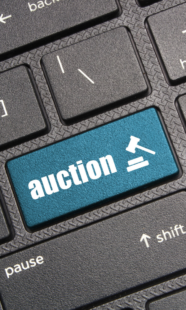 Bid Kings SA Auctions
